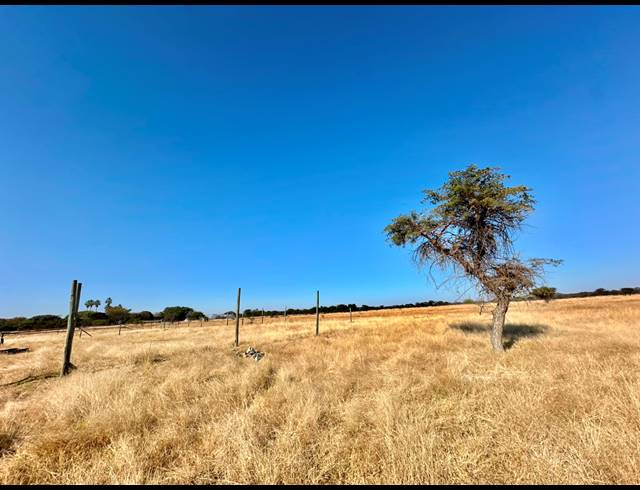 8.50HA SMALLHOLDING FOR SALE IN MYNGENOEGEN AH